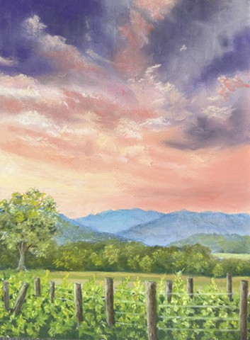 Grape Vineyard, mountain view, pink sky, happy place