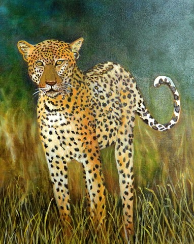 Cheetah In Tall Grass