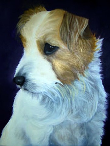 Dog Portrait, Jack Russell Terrier, head shot
