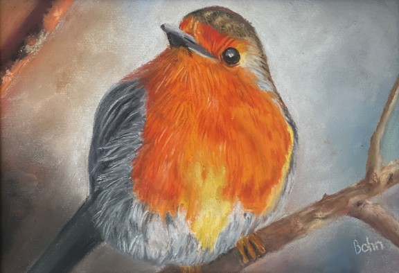 Bob, The Robin