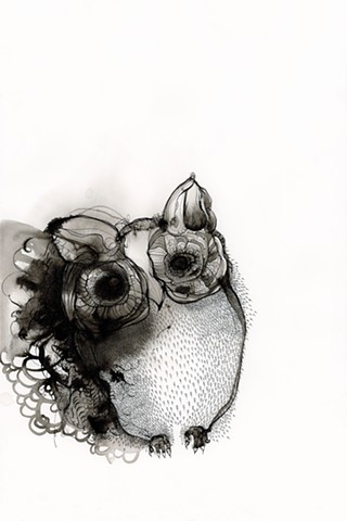 - big boy owl -