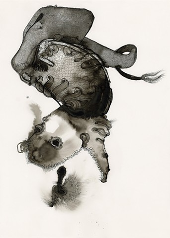 an india ink drawing of a creature underwater predator by betsy heistand jones artist watercolor calligraphy cooper union alumni 