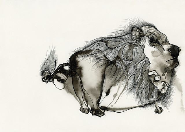 for sale lion with a hurt paw ink drawing india ink steel pen calligraphy by artist betsy heistand jones cooper union alumni