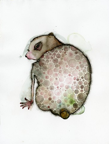 Indigo Artpapers Flax Blend Watercolor Papers schmincke watercolors of a pink spotted bear looking over it's shoulder by betsy heistand jones graduated from the cooper union. betsy jones artist bear painting