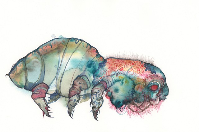 Color Bug