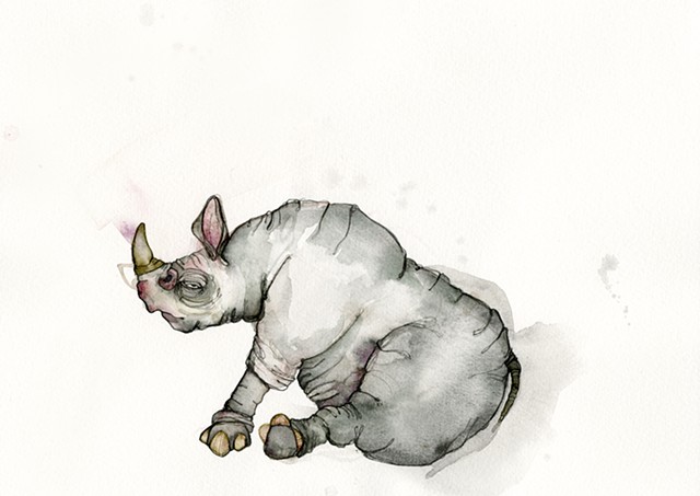 A grey rhino sitting down and looking side eye at you. Schmincke Horadam watercolor painting by betsy heistand jones