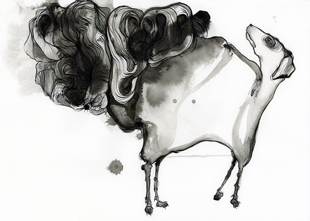 - a dog with problems - 