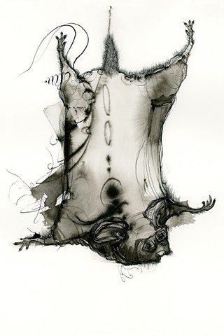 calligraphy ink drawing fine art of animal flying squirrel outsider art betsy heistand jones cooper union