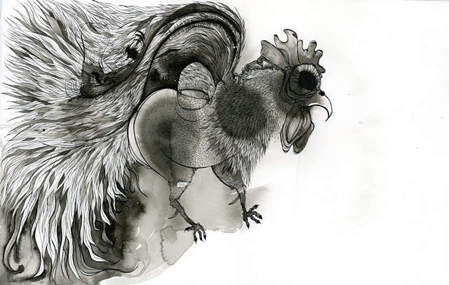 a detailed drawing of a rooster with india ink and lots of feathers chicken betsy heistand jones drawing cooper union