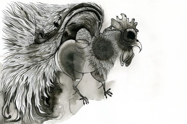 a detailed drawing of a rooster with india ink and lots of feathers chicken betsy heistand jones drawing cooper union