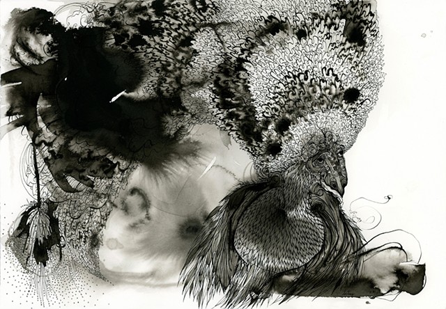 sold artwork in a private collection - a detailed drawing of a bird with india ink and lots of feathers especially ones coming out of the top of its head chicken betsy heistand jones drawing cooper union