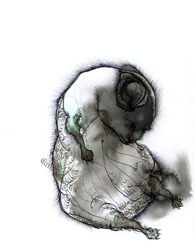 an original ink drawing of a despondent and sad bear by betsy heistand jones. Betsy is a contemporary artist who works in watercolor and ink, drawing unique and sometimes dark drawings.