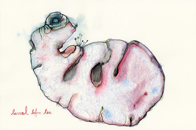 - larval before tea - 