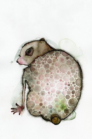fine art prints