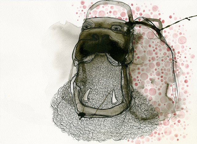 An ink and steel pen drawing of a walrus with an open mouth also with pink watercolor polkadots on water color paper with a deckle by betsy heistand jones. illustration betsy s jones. cooper union betsy heistand