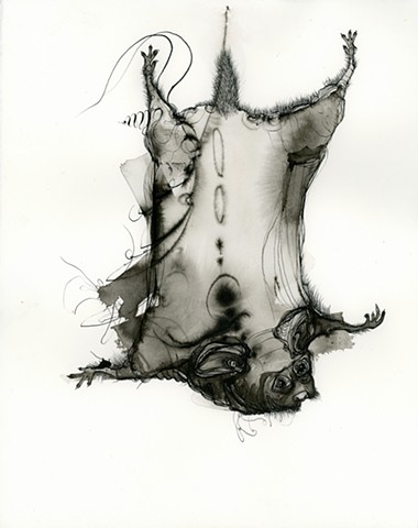 calligraphy ink drawing fine art of animal flying squirrel outsider art betsy heistand jones cooper union