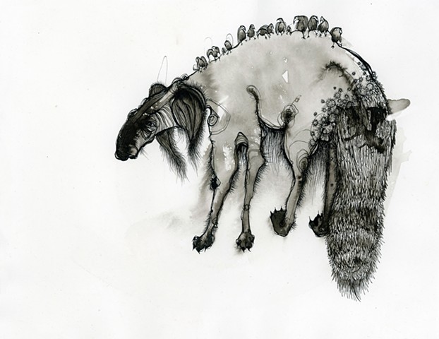 india ink dip pen calligraphy drawing of birds on a wire on an beast with fur and burrs by betsy heistand jones cooper union alumni