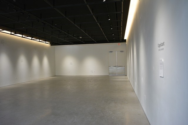 This image shows an empty gallery. Lights are focused at the point on the wall where one would expect paintings. There are 7 lights on the right and left wall and 2 on the far wall. Around each light there is an story engraved into the wall. Some of the s