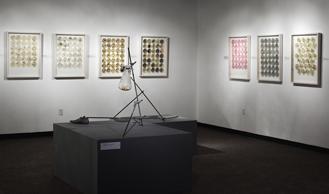 Installation View:  Exposure, 2014, Gallery 210, University of Missouri-St Louis