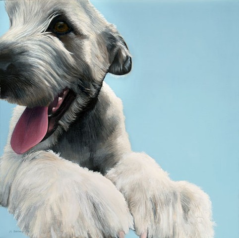 Having a rest, Irish wolfhound oil painting