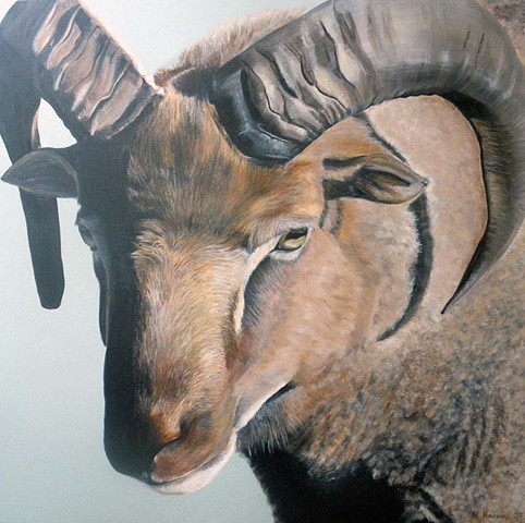 Jacobs sheep, ram, oil painting
