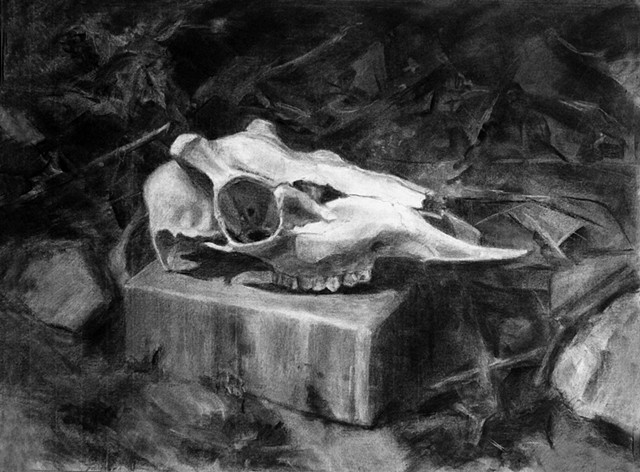 11. Advanced Drawing 
Homework Assignment- Full Value Still Life
Student Work