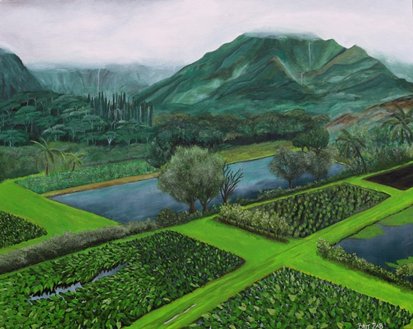 Taro Field 20”x30”