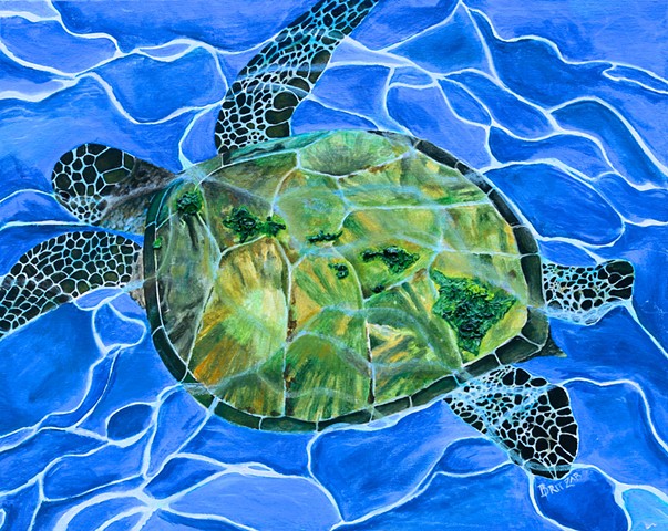 Hawaiian Honu 16”x20”print