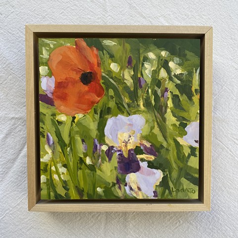 Poppie and Iris