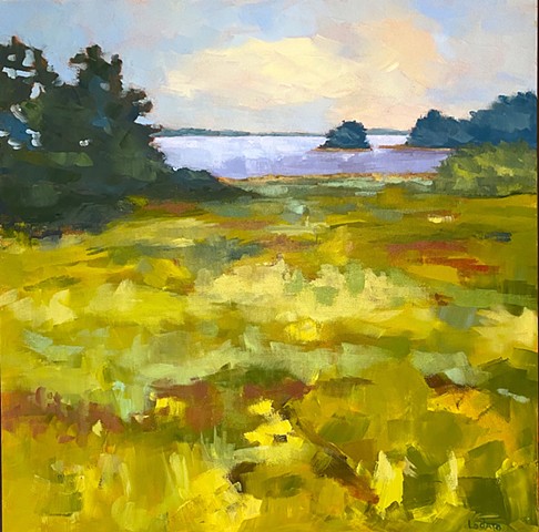 Googins Island