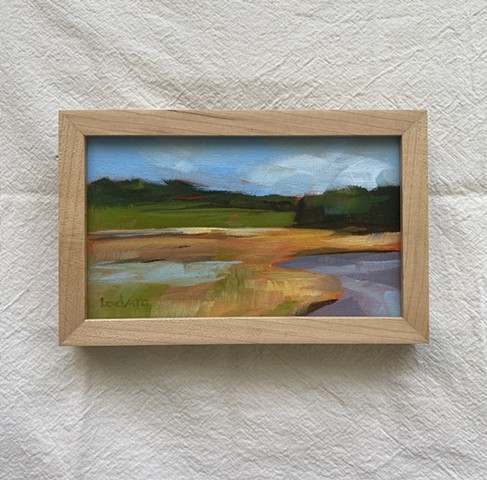 Salt Marsh