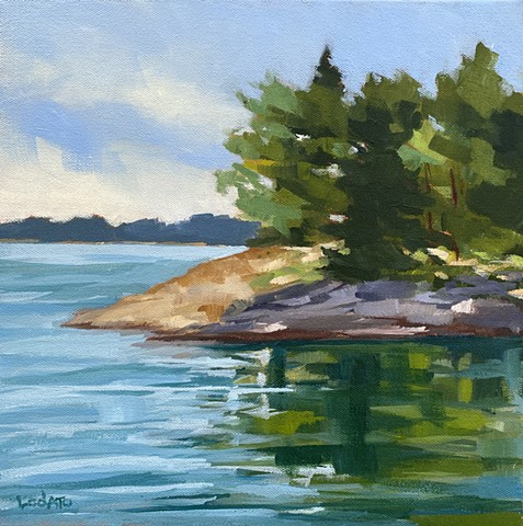 Shaded Reflections