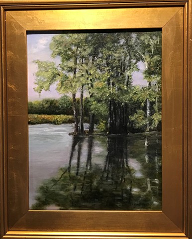 stand of trees in saltpond reflecting on the water