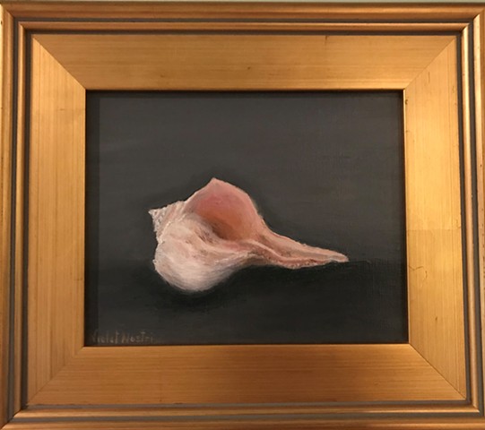 still life of whelk shell with gray background