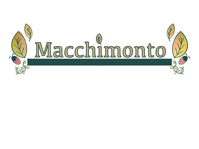 Macchimonto