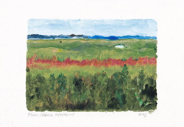 Plum Island 1