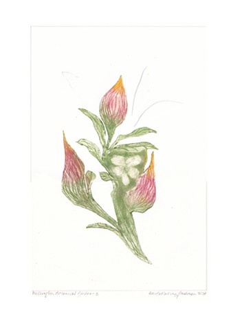 Wellington Botanical Garden 2