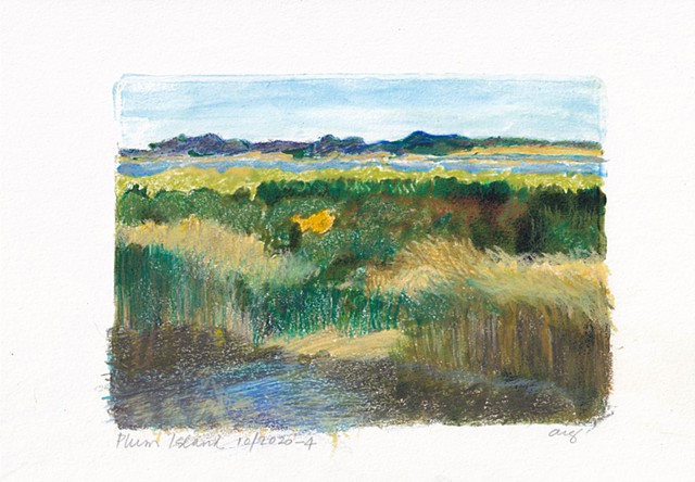 Plum Island 4
