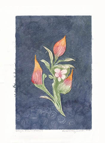 Wellington Botanical Garden 6