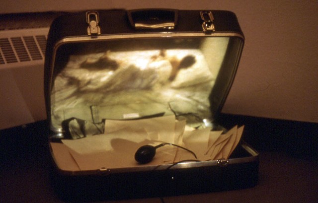  Self-portrait of Suitcase