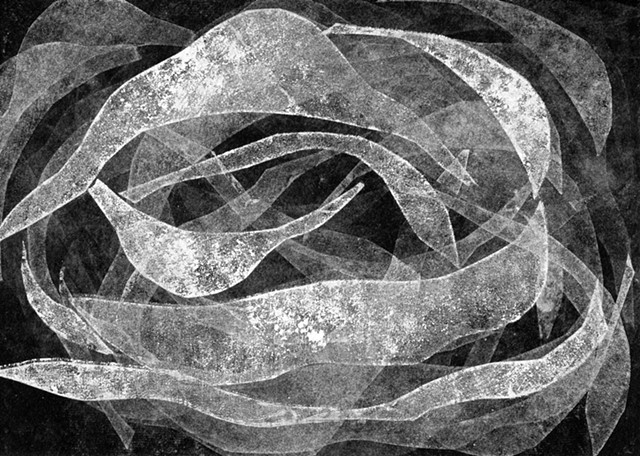 Anéis de Saturno, da série "Lua-Gema"