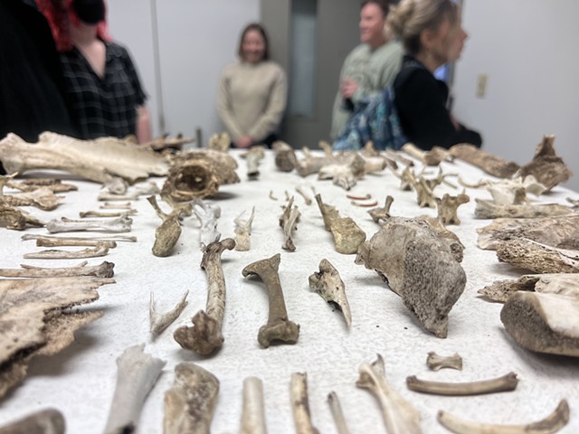 bones and shells (detail)