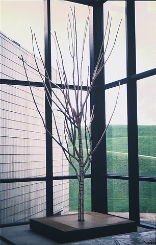 Tree in a Landscape (1993)