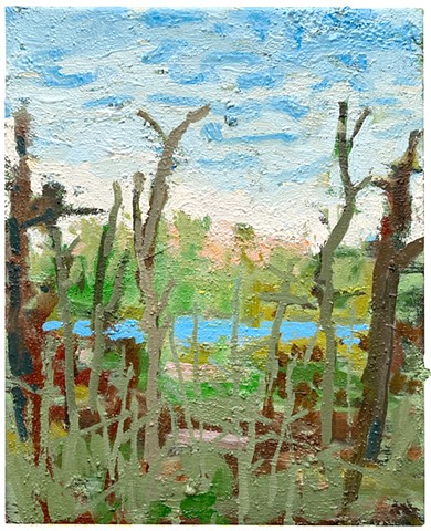 Buttery Sky In The Swamp