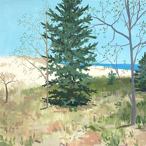 Tree By The Dune 