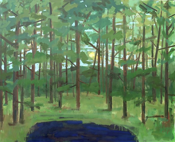 Pond In The Woods