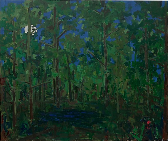 Pond At Night #4