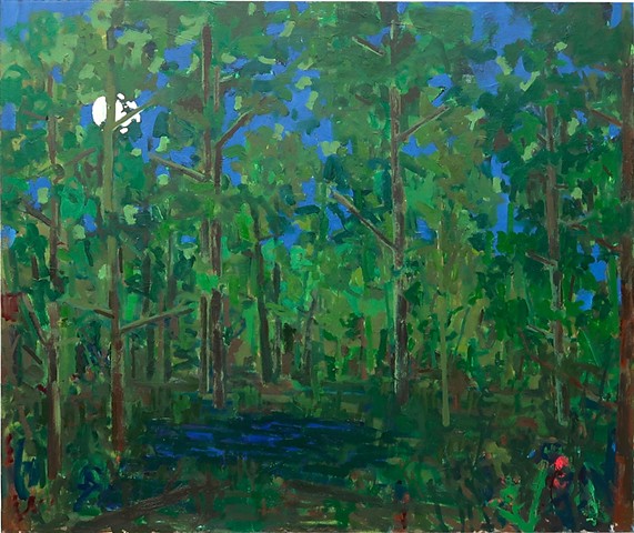 Pond At Night #4