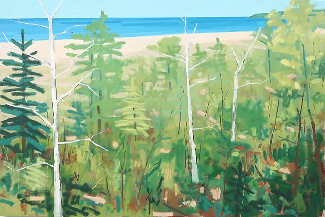 Birch Trees On The Beach