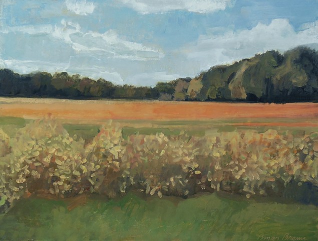 "Field, Tyler Park"